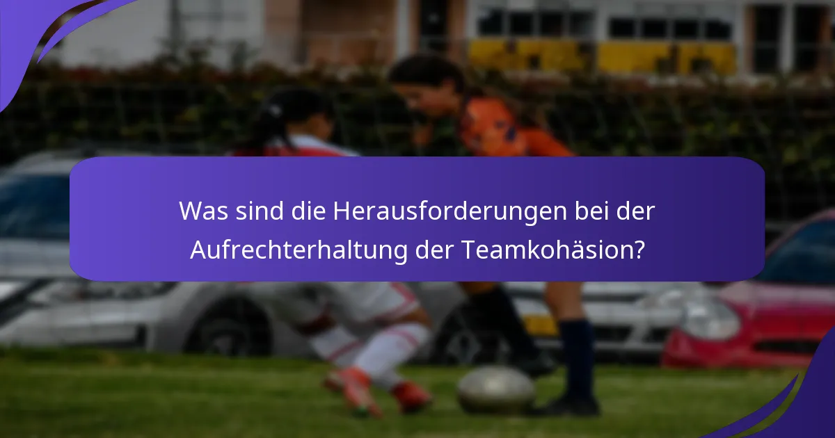 Was sind die Herausforderungen bei der Aufrechterhaltung der Teamkohäsion?